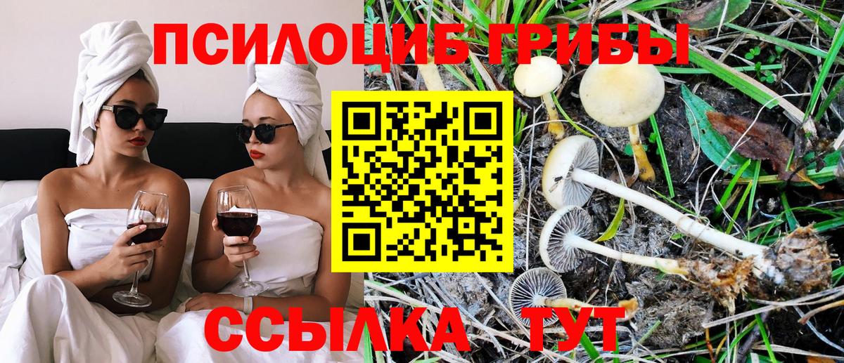 Кувандык  Галлюциногенные грибы ЛСД  Галлюциногенные грибы Psilocybine cubensis  Вход с VPN 