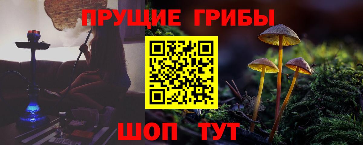 Псилоцибиновые грибы Psilocybe Кувандык